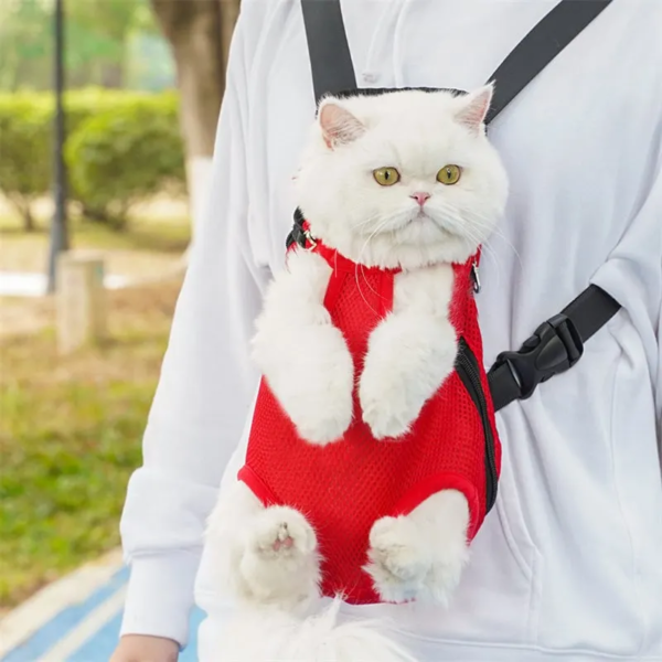 Legs-Out Pet Carrier Backpack – Breathable Mesh Front Pack, Red - image 1
