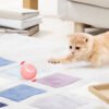 Interactive Smart Rolling Pet Toy Ball – USB Rechargeable Motion Toy - image 2