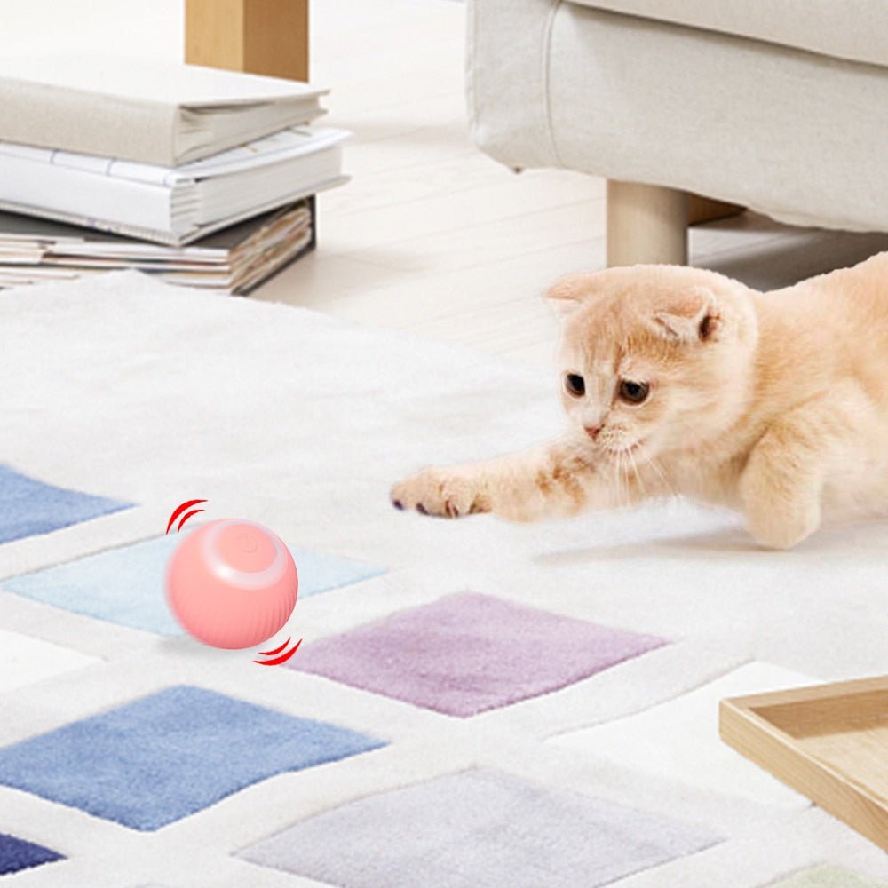 Interactive Smart Rolling Pet Toy Ball – USB Rechargeable Motion Toy - image 2